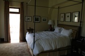 Enlarge photo 39