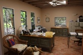 Enlarge photo 85