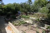 Enlarge photo 91