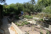 Enlarge photo 92