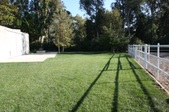 Enlarge photo 65