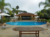 Enlarge photo 57