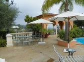 Enlarge photo 59
