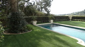 Enlarge photo 51