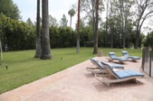 Enlarge photo 121