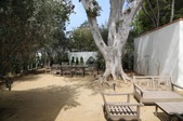 Enlarge photo 126