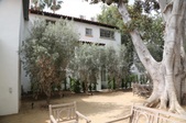 Enlarge photo 129
