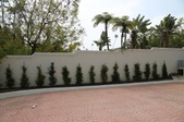 Enlarge photo 144