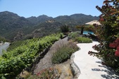 Enlarge photo 59