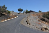 Enlarge photo 85
