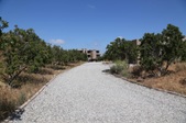 Lough House