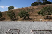 Enlarge photo 122