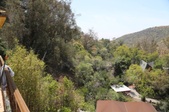 Enlarge photo 35
