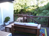 Enlarge photo 43