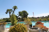 Enlarge photo 44