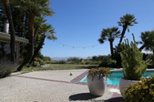 Enlarge photo 45