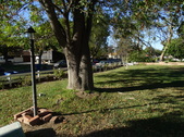 Enlarge photo 25