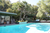 Enlarge photo 44