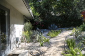 Enlarge photo 51