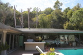 Enlarge photo 71