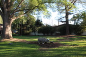 Enlarge photo 36