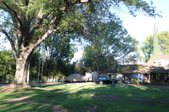 Enlarge photo 35
