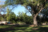 Enlarge photo 34