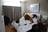 Enlarge photo 41