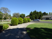 Enlarge photo 14
