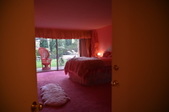 Enlarge photo 43