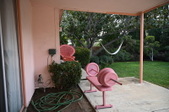 Enlarge photo 59