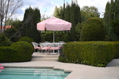 Enlarge photo 63