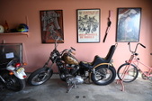 Enlarge photo 67
