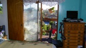 Enlarge photo 52