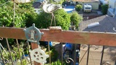 Enlarge photo 54