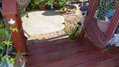 Enlarge photo 66