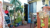 Enlarge photo 67