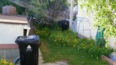 Enlarge photo 71