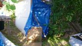 Enlarge photo 76