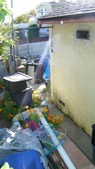 Enlarge photo 77