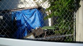 Enlarge photo 84
