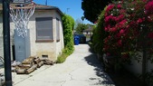 Enlarge photo 50