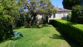 Enlarge photo 60