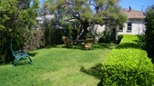 Enlarge photo 67