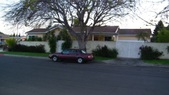 Enlarge photo 45