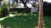 Enlarge photo 35