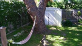 Enlarge photo 41
