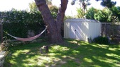 Enlarge photo 43