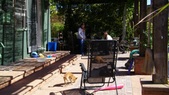 Enlarge photo 46