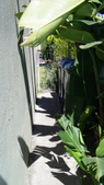Enlarge photo 50